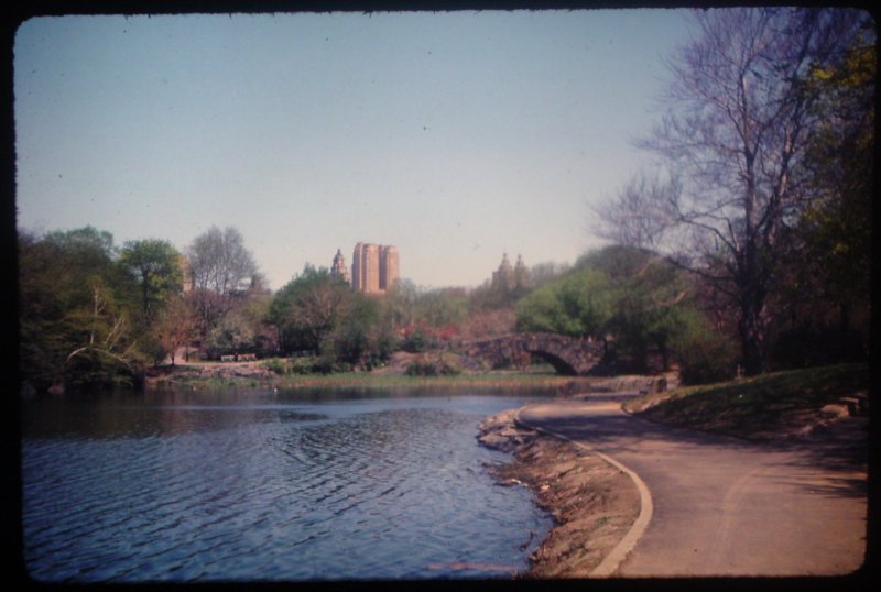 centralpark.jpg